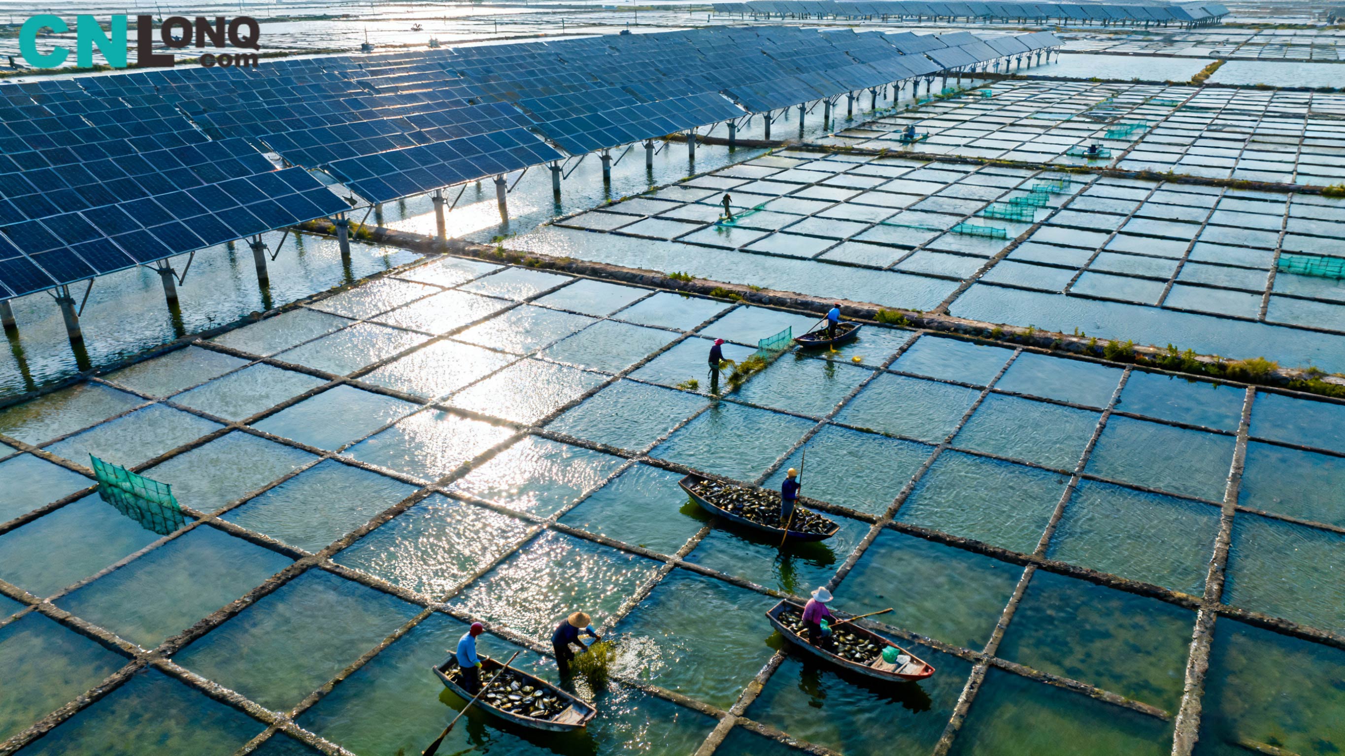 Infheistíocht Iomlán RMB 1.2 Billiún! Briseann Tionscadal Réimse Salainn Xindao Qingkou 250MW “Iascach-Chomhlántach Gréine” ar an Talamh